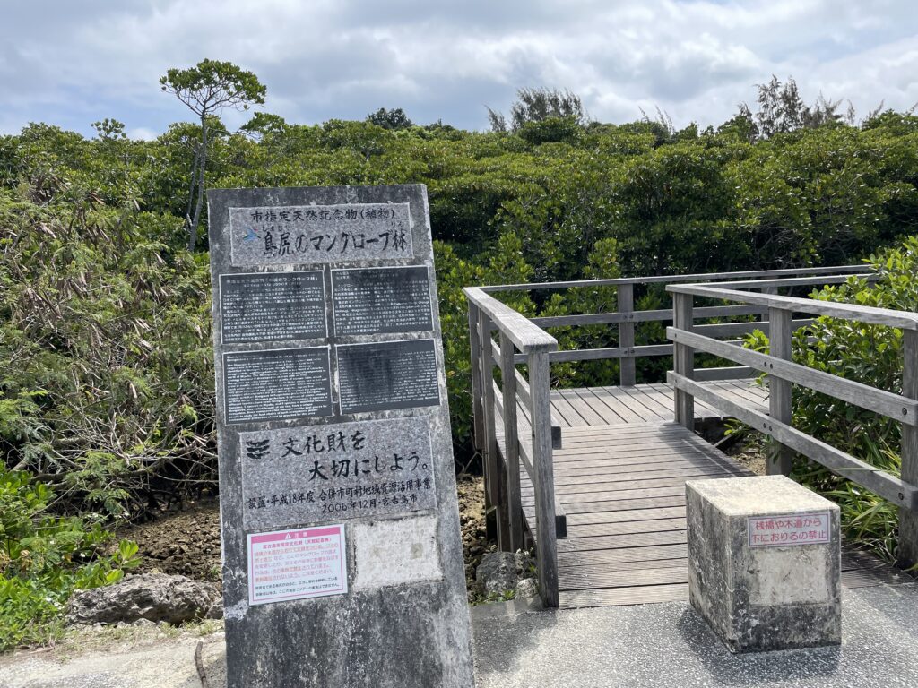 宮古島、島尻マングローブ林